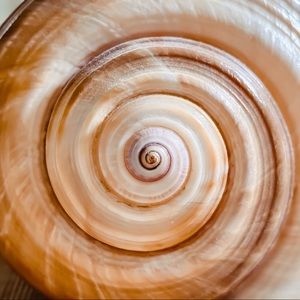 Meet your Posher, Kaytlin